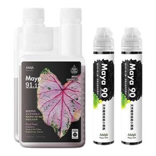 马雅Maya系家庭园艺彩叶芋小黑瓶彩叶芋续航套装家用营养液有机肥