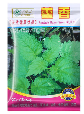 多年生藿香种子买2送1