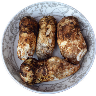 新鲜野生松茸菌冰鲜冷冻云南香格里拉土特产野山菌蘑菇不开伞包邮