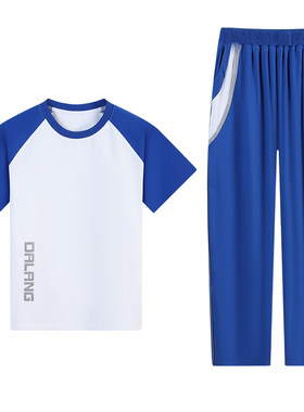 东莞大朗镇小学生校服夏季圆领