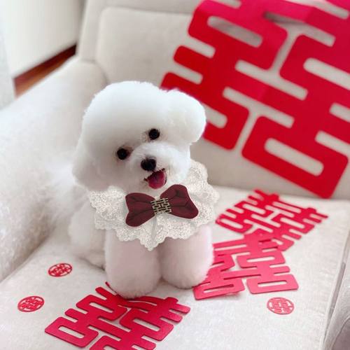 狗狗结婚婚礼装饰领结陪嫁狗蝴蝶结宠物小狗狗围脖口水巾比熊围兜