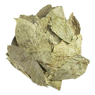 寻百草野生青钱柳叶中药材干货金钱柳泡茶泡水500g可搭桑叶牛蒡根