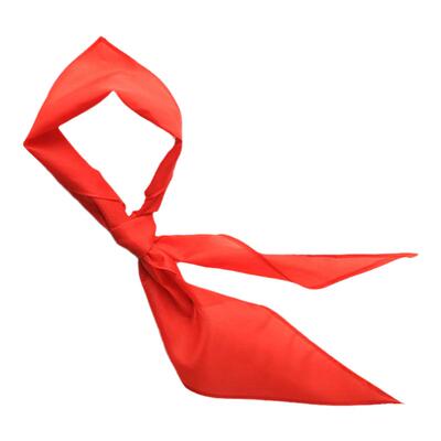 小学生红领巾通用标准加长亮丽尼龙绸1.2米少先队员不掉色10条装