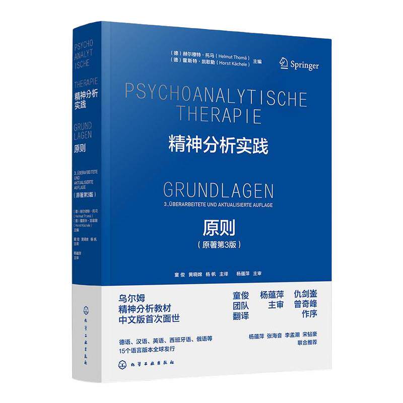 精神分析实践原则 原著第3版  乌尔姆精神分析教材中文版 国际精神分析协会IPAzhiding教材 IPA中国学组学术资助 心理学书籍 正版