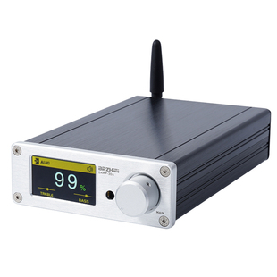 伟良音响BRZHIFI小型桌面家用DAMP-30A数字功放D类大功率蓝牙5.2