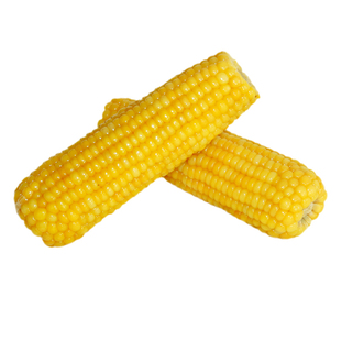 当年新货黄糯大棒玉米10根香甜粘非转基因粗粮低脂代餐早餐孕妇食