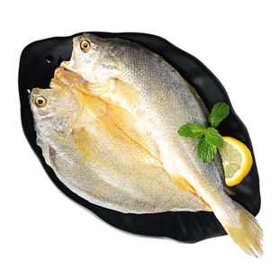 三都港大黄花鱼黄鱼鲞新鲜小黄鱼海鲜海生鲜免杀洗免调料10条