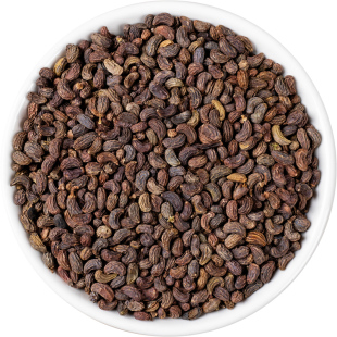 野生女贞子中药材正品500g/250克新货另售女贞子旱莲草组合何首乌