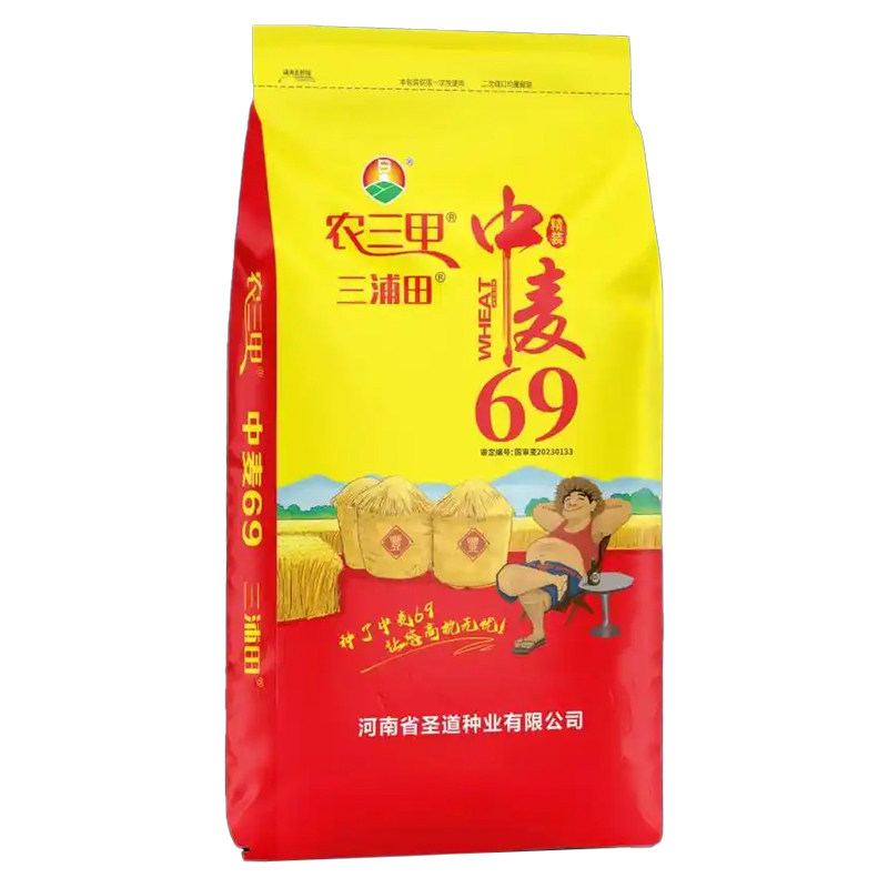 中麦69小麦种子矮杆大穗冬性小麦种子原装正品中麦69麦种抗倒伏