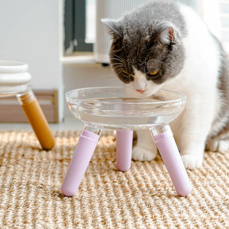 三角支撑碗架实木加高玻璃猫碗增高支架大碗口透明颜值狗碗宠物碗