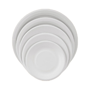 一次性盘子碟可降解餐具餐盘蛋糕菜盘食品级野餐烧烤纸盘手工绘画