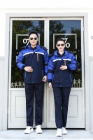 5 поколений тибетского синего+янлан разборка внутреннего Bulin