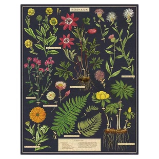 美国CAVALLINI美式文艺成人版女生礼物拼图1000片蝴蝶天体植物园