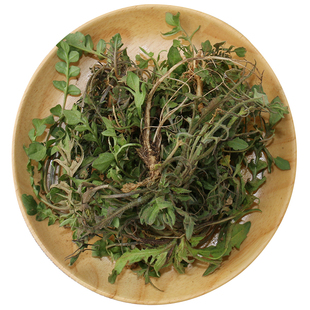 【现挖2斤野生荠菜】新鲜包邮 带根荠菜 天然野菜地菜 饺子馄饨馅