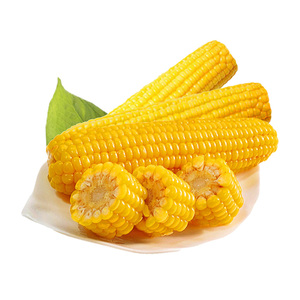 东北黄糯玉米东北粘甜糯玉米0添加低脂即食粗粮代餐黄糯小玉米