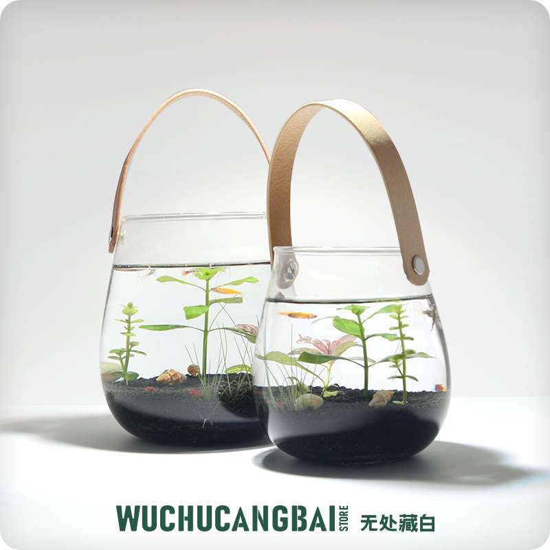 生态瓶微景观鱼造景手提小鱼缸水族办公桌面客厅创意观赏免换水