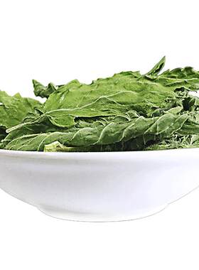 薄荷叶干可食用泡水清凉罐装特级
