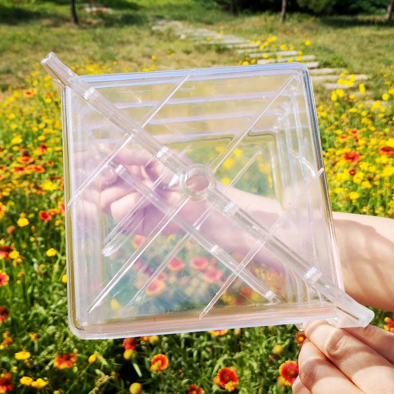 方形西瓜定型生长模具15x15方西瓜成型模具方形塑料模具直销