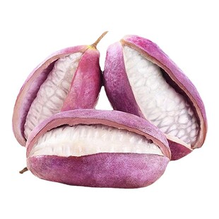 无籽八月瓜树苗大苗爬藤南北四季种植庭院水果树果苗盆栽当年结果