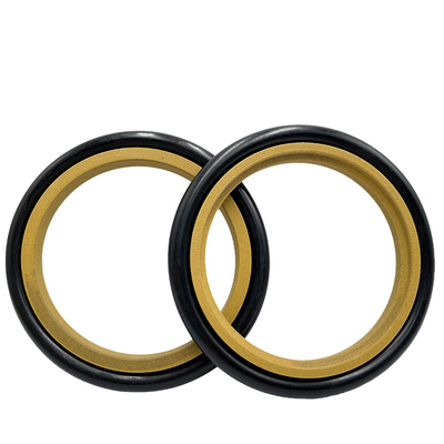 轴用STd斯特封RS型密封