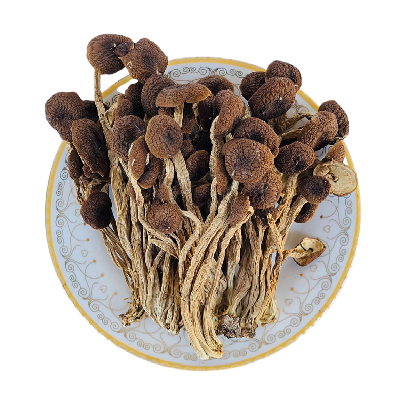 江西广昌不开伞茶树菇干货包邮