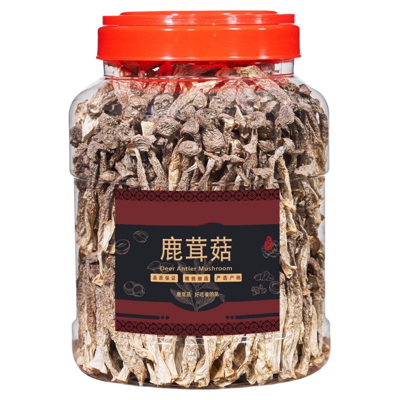新货鹿茸菇新鲜炒菜罐装菌菇干货