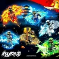 6 Types of Flying Wing Ninjas