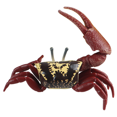 林畅模玩招潮蟹模型实心动物