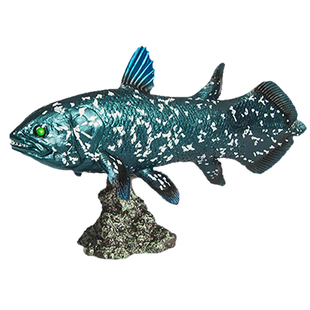 仿真动物模型儿童玩具男女孩礼物苏眉鱼斑节恐龙鱼巨骨舌鱼矛尾鱼