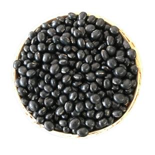 大粒黑豆种子营养黑色黑青豆大粒黑豆种子高产营养春夏季播种