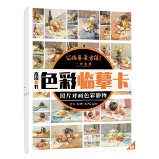 8开色彩静物组合临摹卡照片对画从结构到色稿到完整临摹范本美术生专用中考高考联考美院教程教材色彩临摹卡高清
