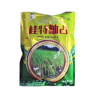 正品原装桂潮米珍桂矮稻常规稻可留种水稻种子桂特籼占圆粒米粉稻