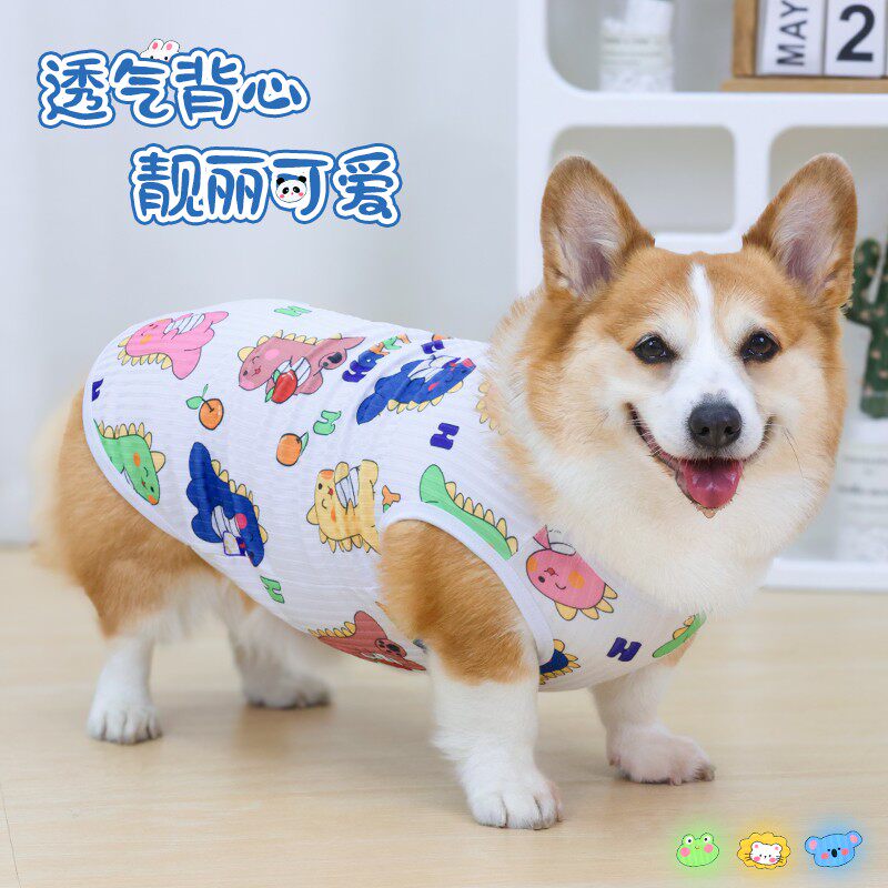 宠物狗狗衣服夏季薄款透气小型犬中型犬柯基柴犬泰迪开春衣服春装图片