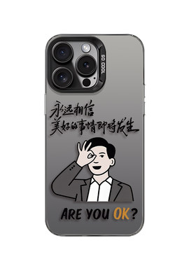 雷军励志语录彩银手机壳