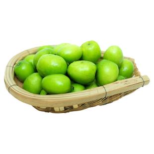 现摘现发云南元谋大青枣5斤新鲜甜脆应季水果牛奶青枣非冬枣脆枣