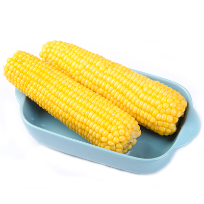 【试吃2根】25年头茬东北鲜食糯玉米棒真空装甜玉米粗粮新鲜苞米