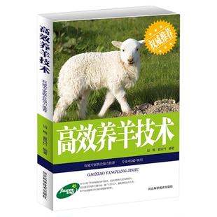 正版速发 高效养羊技术 羊病治疗全书 养羊技术书籍大全 鉴别诊断图谱 科学生态饲养 管理动物医学饲料配方 快速诊断预防羊病 yzx