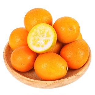 广西融安脆皮金桔新鲜桔子当季现摘水果纯甜蜜9斤小柑桔整箱