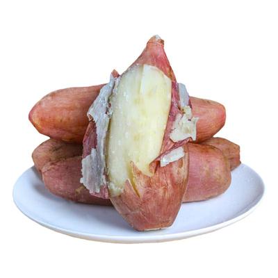 山东哈密牛奶冰糖红薯粉糯5斤