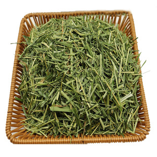 剪短烘干特级提摩西碎草段嫩绿少杆小宠物龙猫兔子磨牙食物干草