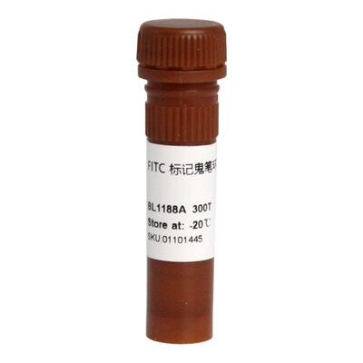 白鲨 Biosharp BL1188A Phalloidin FITC标记鬼笔环肽 绿色 300T