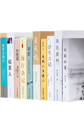 电视柜道具模型简约现代风仿真书