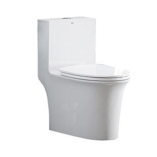 箭牌普通马桶家用卫生间小户型大冲力旋涡虹吸式自洁釉面坐便器