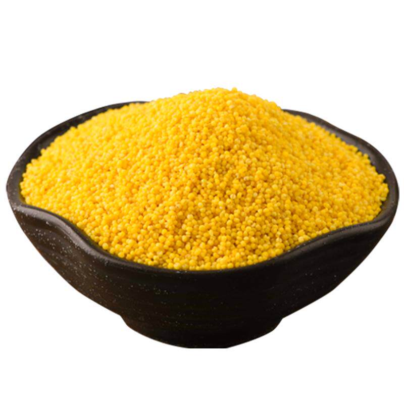 福润东方小米5斤内蒙古赤峰大金苗杂粮米有机黄小米粥小黄米新米