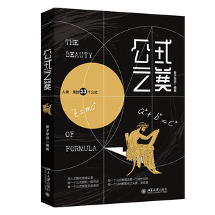 公式之美 量子学派著 2020中国好书 世界的繁华秀丽映衬出符号公式的简洁之美 书写天才们探索自然社会历史