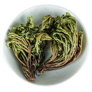 卷柏中药材500克卷柏九死还魂草 石柏岩柏草卷柏野生不死草