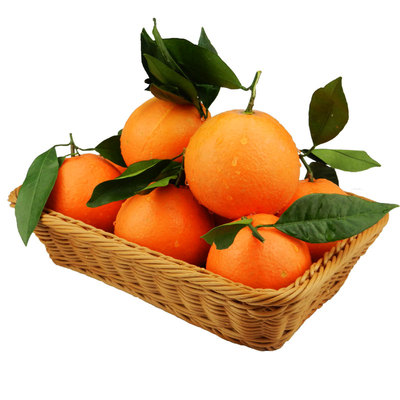 念城鲜果巫山纽荷尔脐橙现摘现发