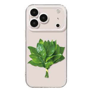 去晦气柚子叶适用苹果17promax手机壳iphone17新款2025高级感16pro外壳11网红爆款15超好看镜头13全包12透明
