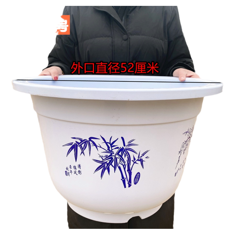 睡莲花卉盆栽白色塑料花盆无孔有孔果树盆特大号大号圆形加厚花盆