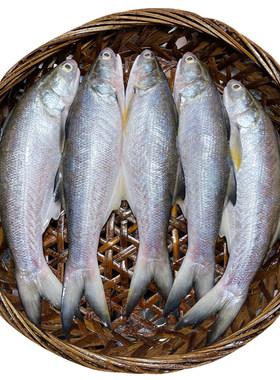潮汕特产汕头打冷鱼饭午笋鱼饭马友鱼饭鲜甜嫩 潮汕鱼饭包邮